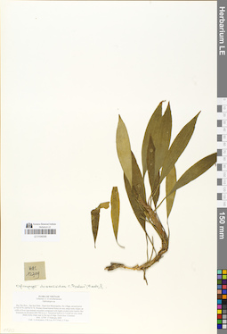 LE 01049348