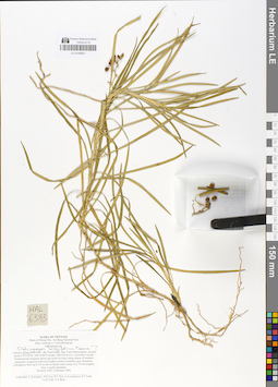 LE 01049921