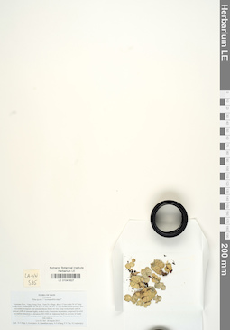 LE 01041627