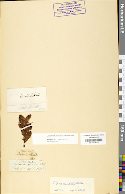 LE 01036370