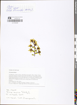 LE 01050298