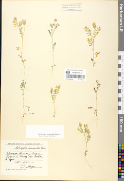 LE 01052076