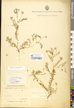 LE 01052078