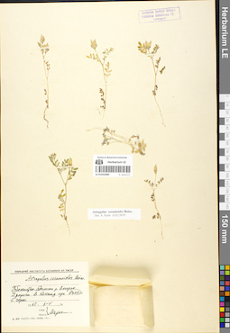 LE 01052080