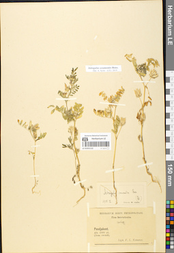 LE 01052122