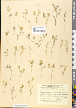 LE 01052125