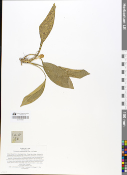 LE 01048460