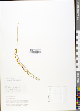 LE 01050005
