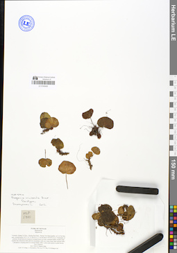 LE 01049406