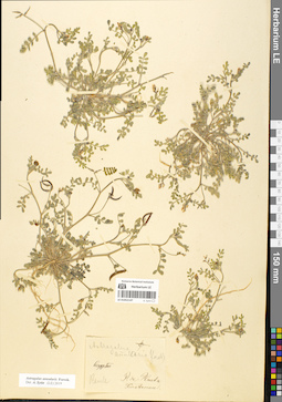 LE 01052147