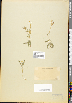 LE 01052203