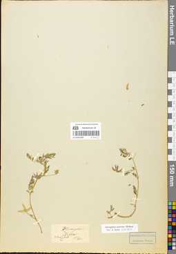 LE 01052209