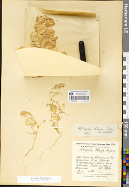 LE 01052219