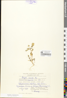 LE 01052241