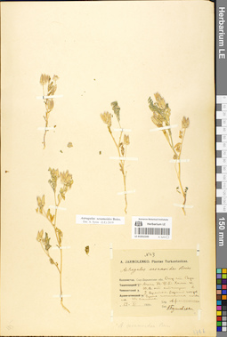 LE 01052249