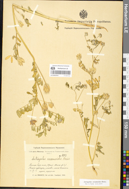 LE 01052251