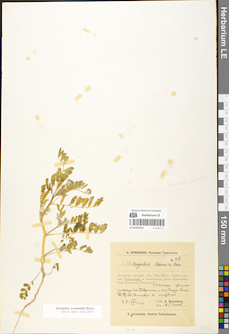 LE 01052252