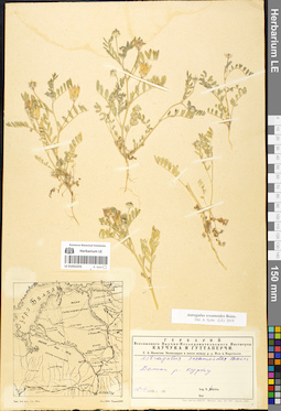 LE 01052253