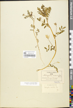 LE 01052255