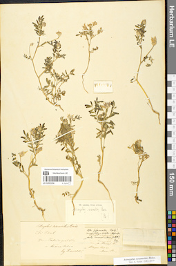 LE 01052256