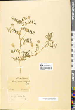 LE 01052259