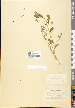 LE 01052260