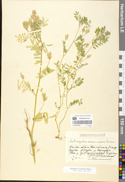 LE 01052265