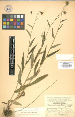 LE 01010007