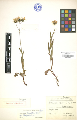 LE 01010012