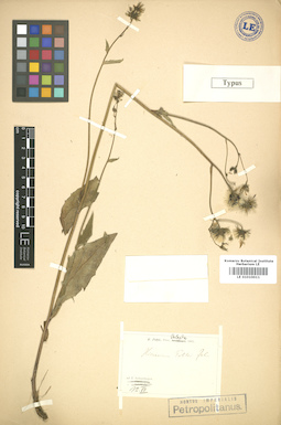 LE 01010011
