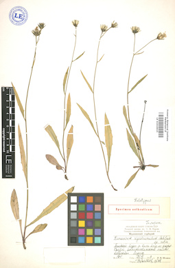 LE 01010015