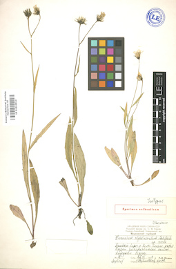 LE 01010014