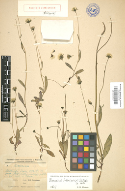 LE 01010017