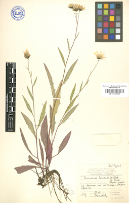 LE 01010016