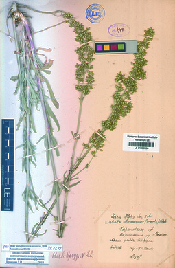 LE 01036336