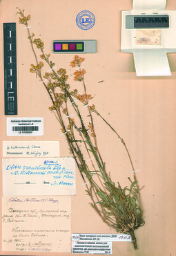 LE 01036337