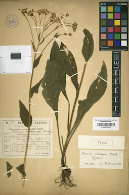 LE 01010071