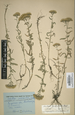 LE 01012780