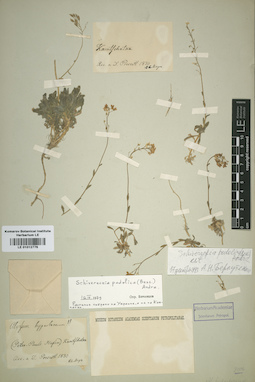 LE 01012776