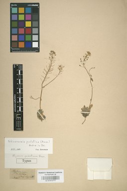 LE 01012777