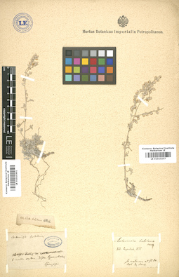 LE 01010257
