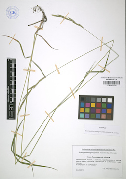 LE 01012743
