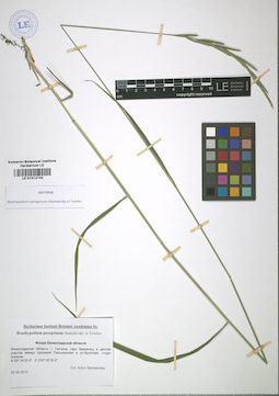 LE 01012744