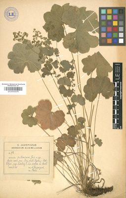 LE 01010270