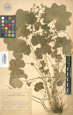 LE 01010271