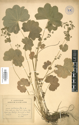 LE 01010272