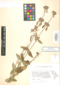 LE 01010146