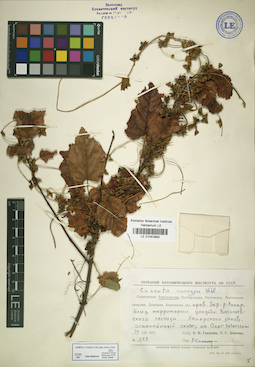 LE 01042993