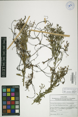 LE 01042990