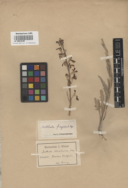LE 00018190